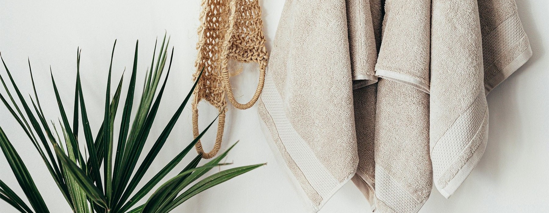 a towel and a plant